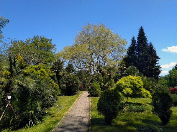 Botanical Garden Batumi