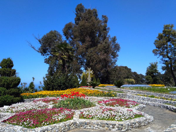 Ogród Botaniczny w Batumi