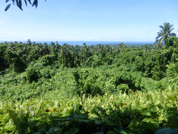 Kopiec Pulemelei, czyli Tia Seu Acient Mound - Samoa