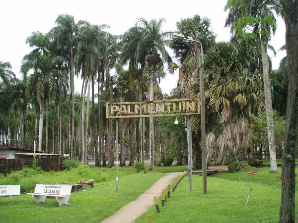 Ogród Palmowy - Palmentuin Paramaribo Surinam