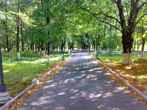 Park miejski Zaqtala