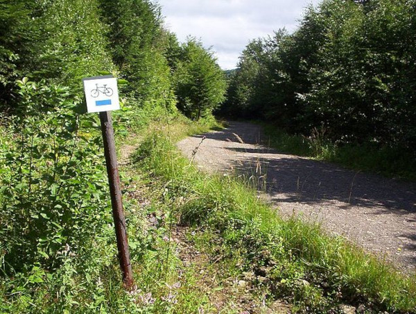 Przełęcz Żebrak Bieszczady