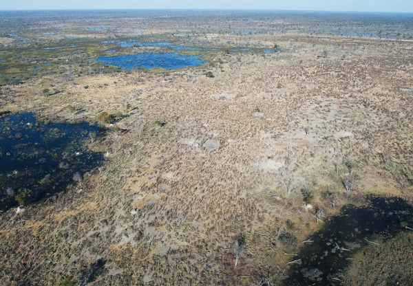 Delta Okawango