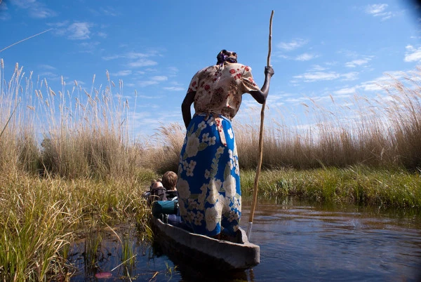 Podróż łodzią deltą rzeki Okawango