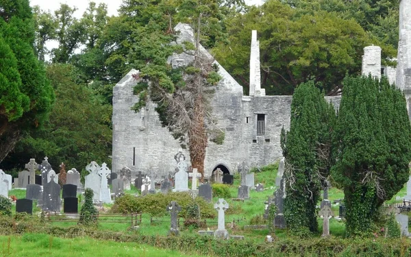 Ruiny opactwa Muckross Park Narodowy Killarney Irlandia