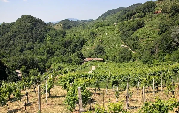 Conegliano Valdobbiadene
